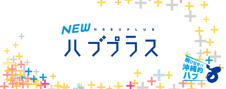 NEWハブプラス