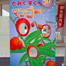 道の駅豊崎