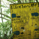 なんかこわい。