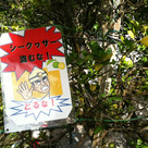 イラストが怖い