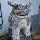 眼鏡シーサー