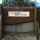 ここに子どもが座ると、将来大人になります。