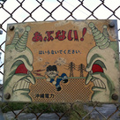 でーじ怖い