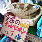 チャンピオンの手