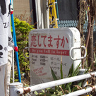 恋してますか？