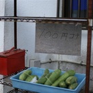 100円コナ