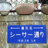 7つのシーサーを巡る冒険