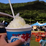 綱引き大会でヤギをゲットしたい！
