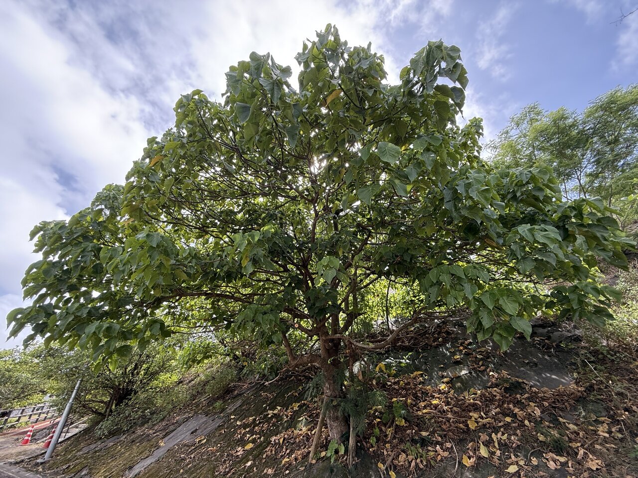 oobagi01.jpg