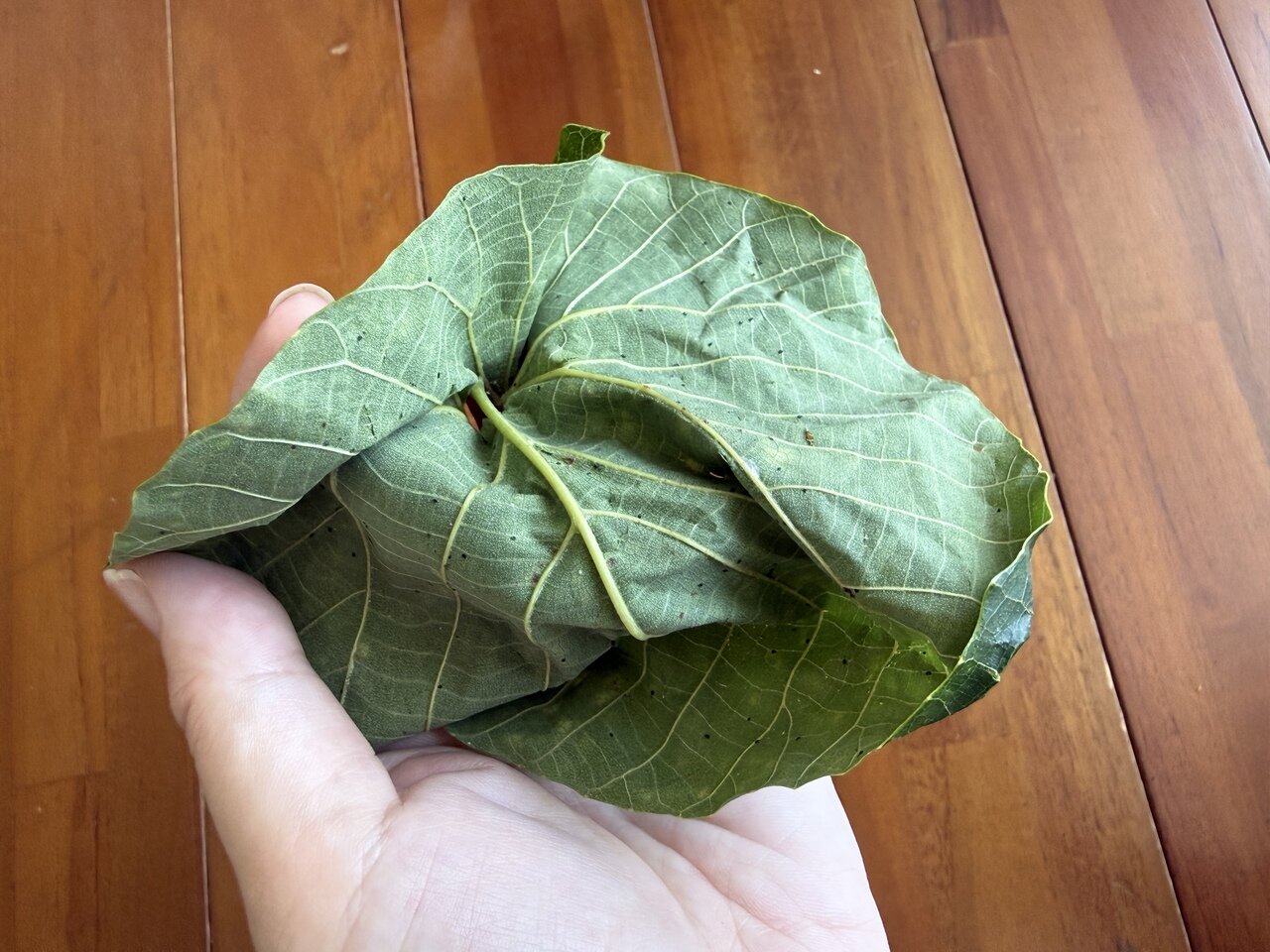 oobagi05.jpg