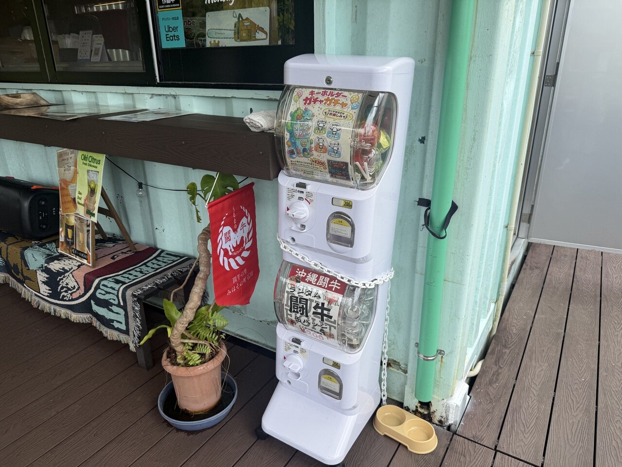togyugacha01.jpg