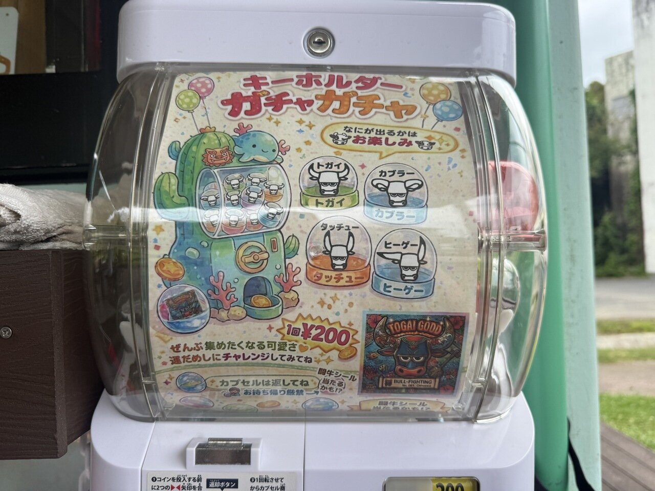 togyugacha02.jpg