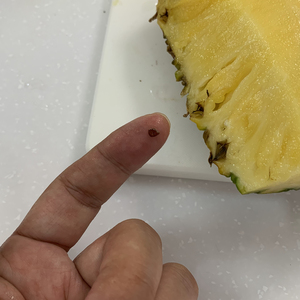 沖縄だし種からパイナップルを育ててみる [その1]