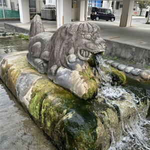 シーサーの口から水が出たらそれはもうマーシーサー