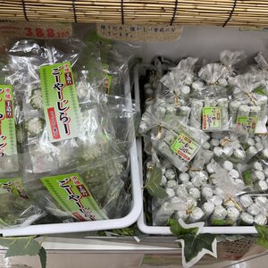 伊芸サービスエリアで見つけた謎菓子「ごーやーじらー」