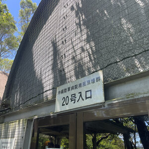 沖縄陸軍病院南風原壕群20号を見学してきた