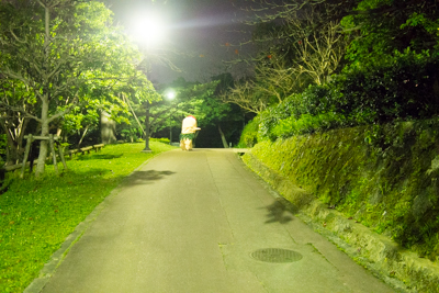 そして夜の森へ