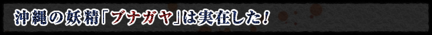 驚愕!! 沖縄の妖精「ブナガヤ」は実在した!