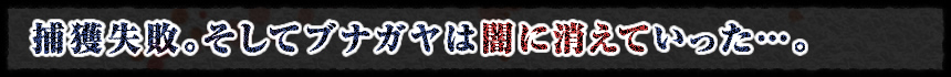 捕獲失敗。そしてブナガヤは闇に消えていった…。