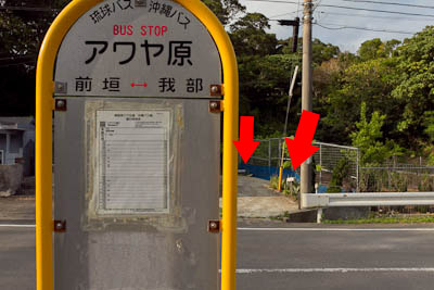 bus-stop30.jpg