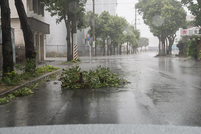 typhoon15_28.jpg