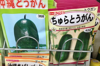 沖縄野菜のネーミングを集めてみる