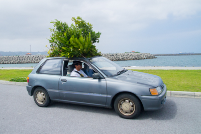 車の屋根から木が生える凄すぎるエコカー
