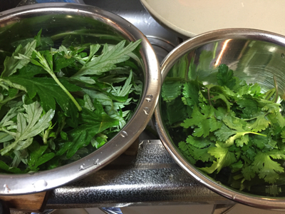 フーチバーはパクチーに成り代わることができるのか 沖縄b級ポータル Deeokinawa でぃーおきなわ