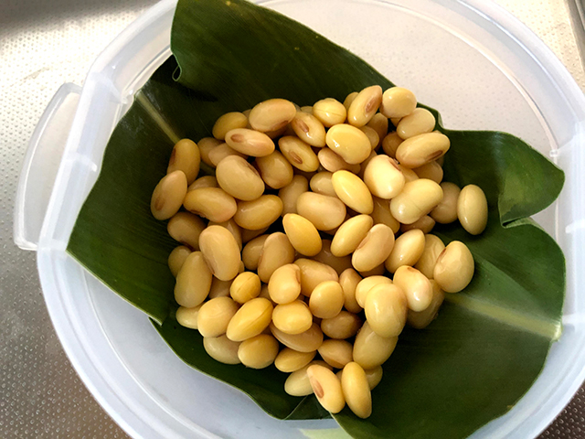 沖縄野草で納豆を作れるか