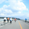 2011年1月を振り返る