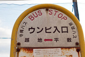 bus-stop34.jpg