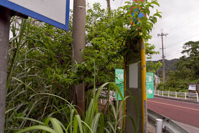 bus-stop60.jpgのサムネール画像