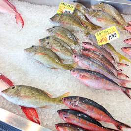 なぜ沖縄は焼き魚が少ないのだろうか