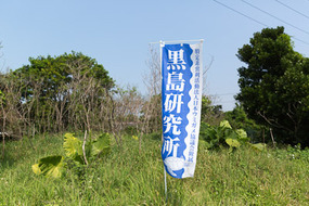 kuroshimalabo_02.jpg