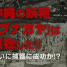 沖縄の妖精「ブナガヤ」は実在した！！