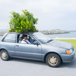 車の屋根から木が生える凄すぎるエコカー