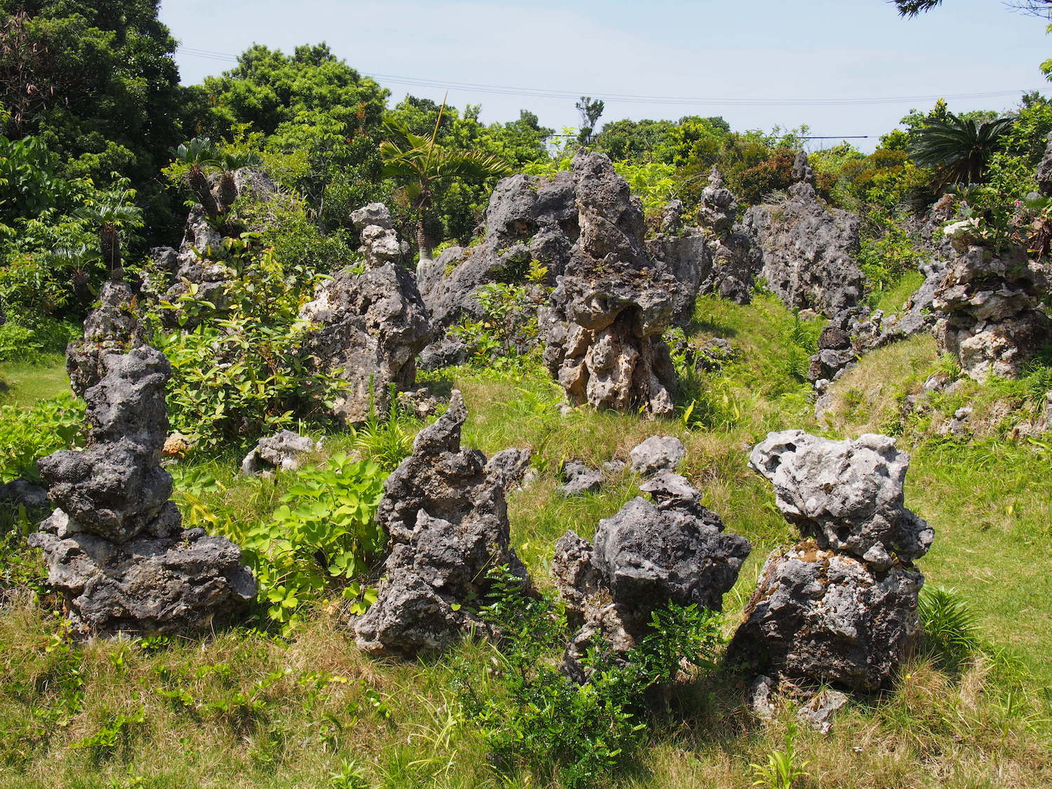 宮古島に凄いパワースポットがあると聞いて行ってきました - 沖縄B級