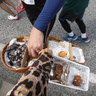 検証！ランナーに人気の沖縄の食べ物＠おきなわマラソン2016