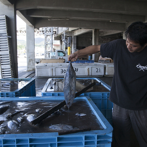 【大人の社会見学】沖縄本島唯一の鰹節工場（前編）