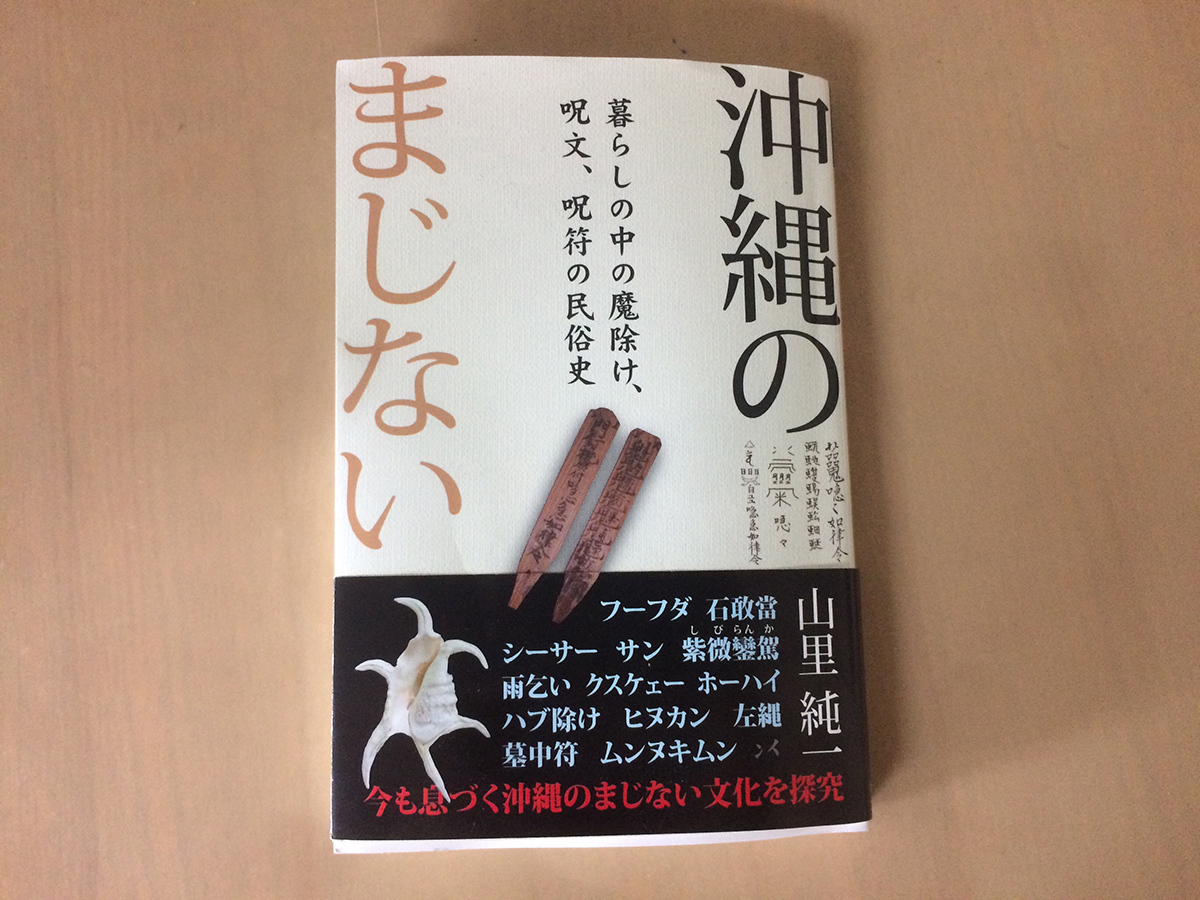 沖縄で拾った人みたいな石 公式 公園の石