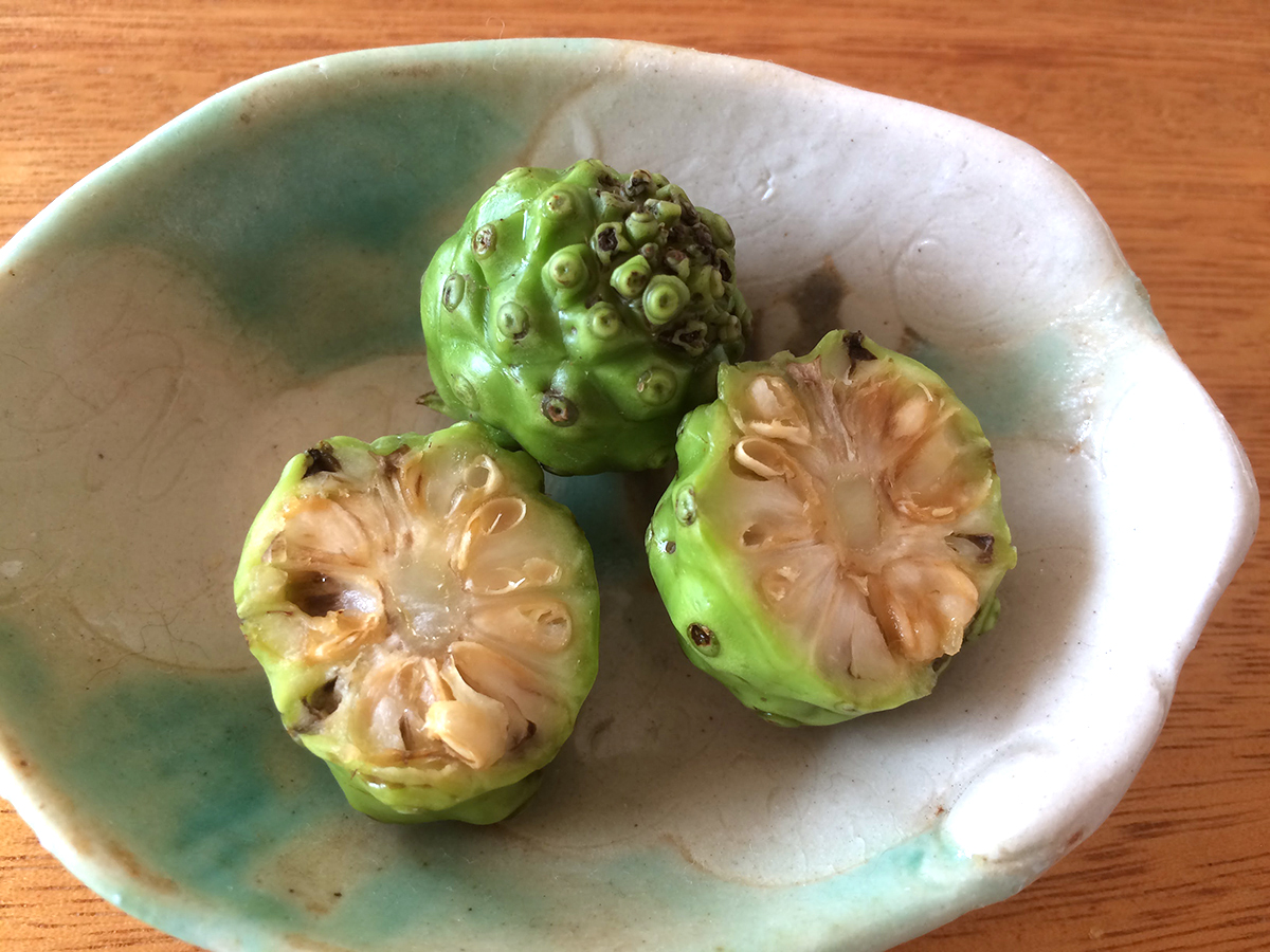 生ノニは美味しく食べられるのか - 沖縄B級ポータル - DEEokinawa（で 