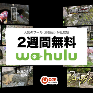 動画見放題サービス「waHulu（ウヮーフールー）」をリリースします！