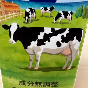 牛乳パックにまつわるエトセトラ〜沖縄森永酪農牛乳のパッケージ伝説は本当だった！さらにヨーゴの進化にも迫る〜