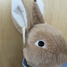 おばあちゃん、あれはAirPods...いや島らっきょうだね！