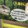僕のコネタフォルダを開放します