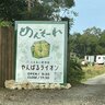 国頭村に動物園！？「やんばるライオン」がオープン