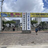 2025年の沖縄の産業まつりで気になった県産品をまとめてみる