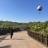 ジャングリアは実際どうなのか