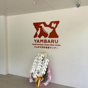 国頭村のウフギー自然館が「やんばる世界遺産センター」としてリニューアルオープン！
